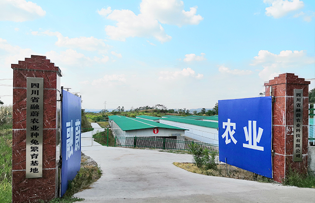 人生就是博·(中国区)官方网站