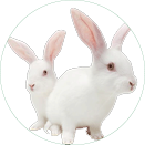 人生就是博·(中国区)官方网站