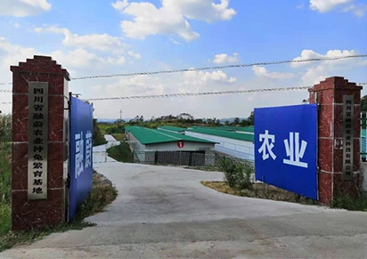 四川种兔养殖公司哪家好？？？